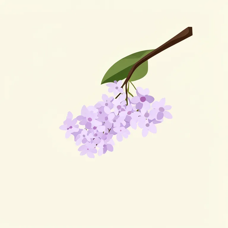 lilac